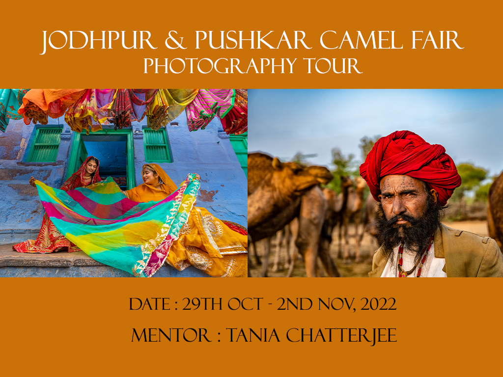 JODHPUR & PUSHKAR CAMEL FAIR PHOTOGRAPHY WORKSHOP, 29th Oct - 2nd Nov 2022 ( SUCCESSFULLY COMPLETED )